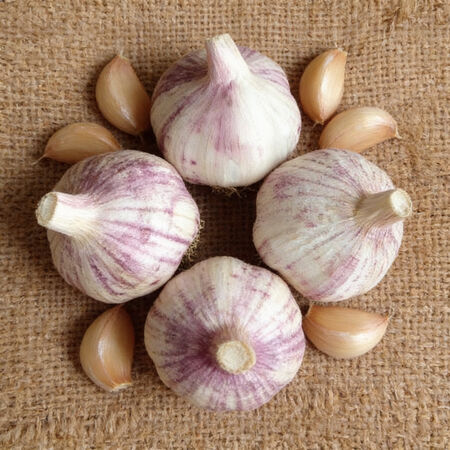 Chinese Pink, Garlic Bulbs - 1/4 Pound image number null